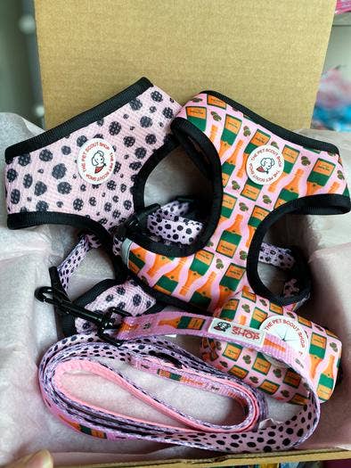 The Pet Scout Shop - Wholesale Pet Leash - Dog - Champagne Lead2