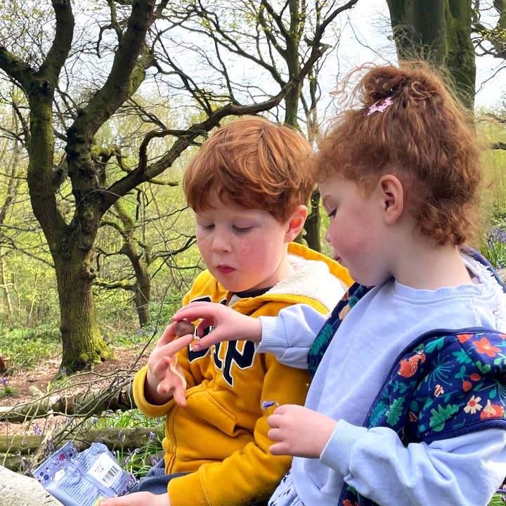 Yummycomb - Wholesale Chocolate Covered Sweets - 12 x 70% Dark Belgian Chocolate Honeycomb pocket packs (40g)3