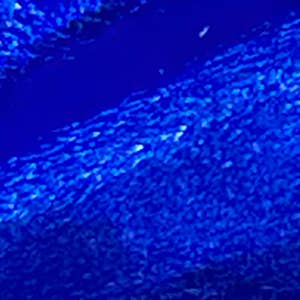 Tracey Tanner – wholesale Phone wallet – women's – Tia Crossbody Phone Case30