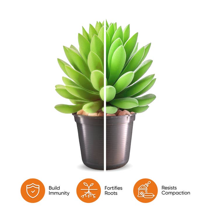 Veryplants US LLC - Wholesale Planting/Potting Soil - Molly's Succulent Mix - Premium Soilless Gritty Mix- 5 Quart