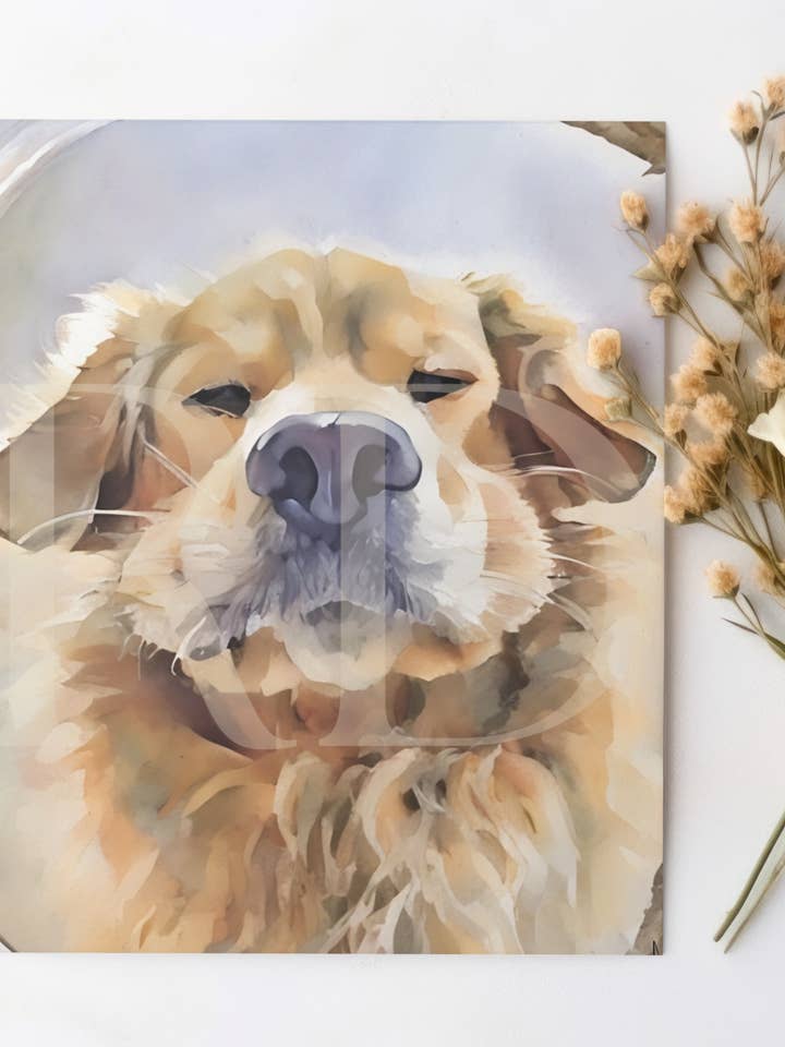 Boop de snoet kaart voor wholesale door Ramsaydigitals