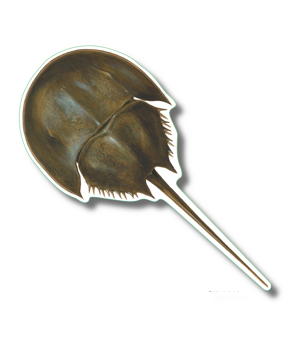 Earth Sky + Water - Wholesale Sticker - Horseshoe Crab Nature Sticker, 3.5" wide1