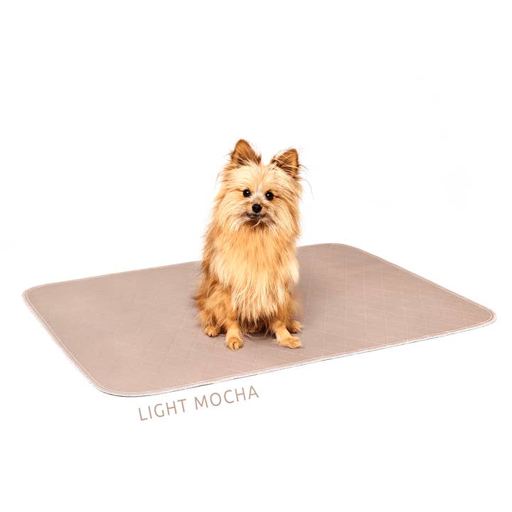 Pipco Pets - Wholesale Pet Mat - Dog - Pipco Washable Pee Pads