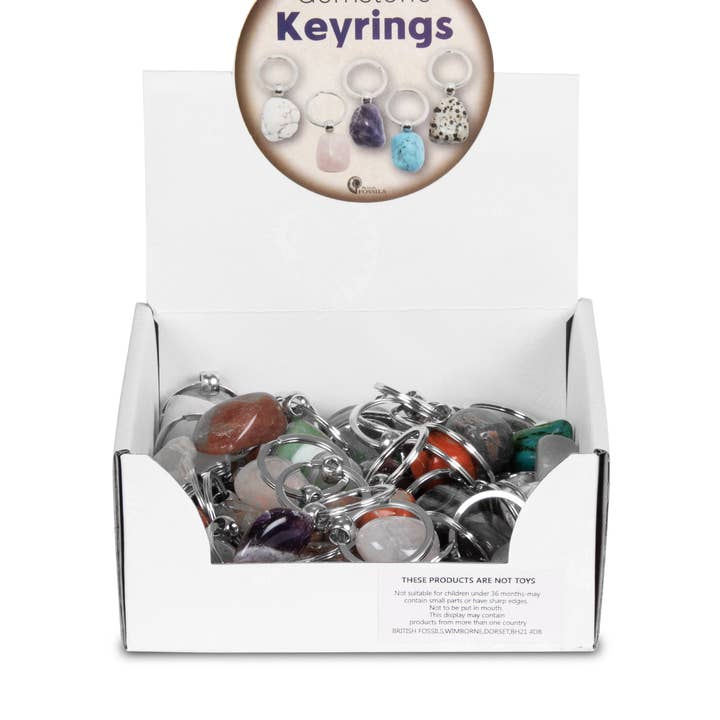 Paquete de llaveros con piedras preciosas rotas para venta al por mayor de British Fossils