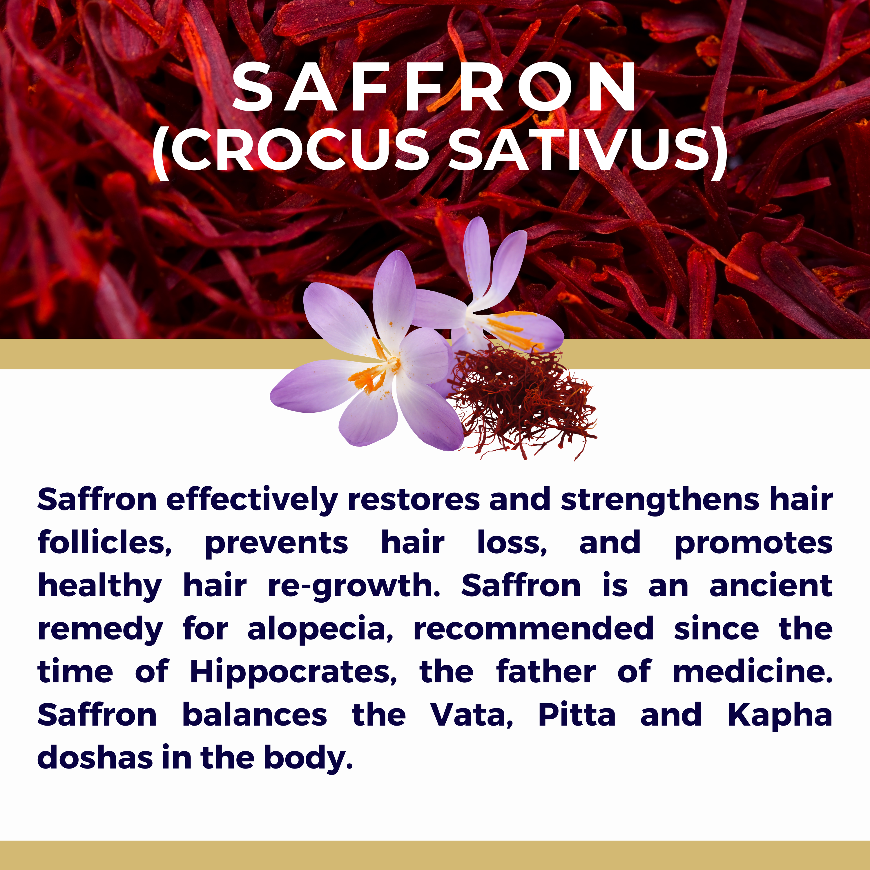 The Sacred Essence - Wholesale Hair Serum - MANA Ayurveda Hair Restoration Serum - Hair Superpower18