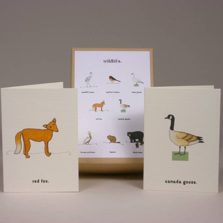 Una scatola di piccoli biglietti di auguri con animali selvatici. per la vendita all'ingrosso da parte di Beth Mueller