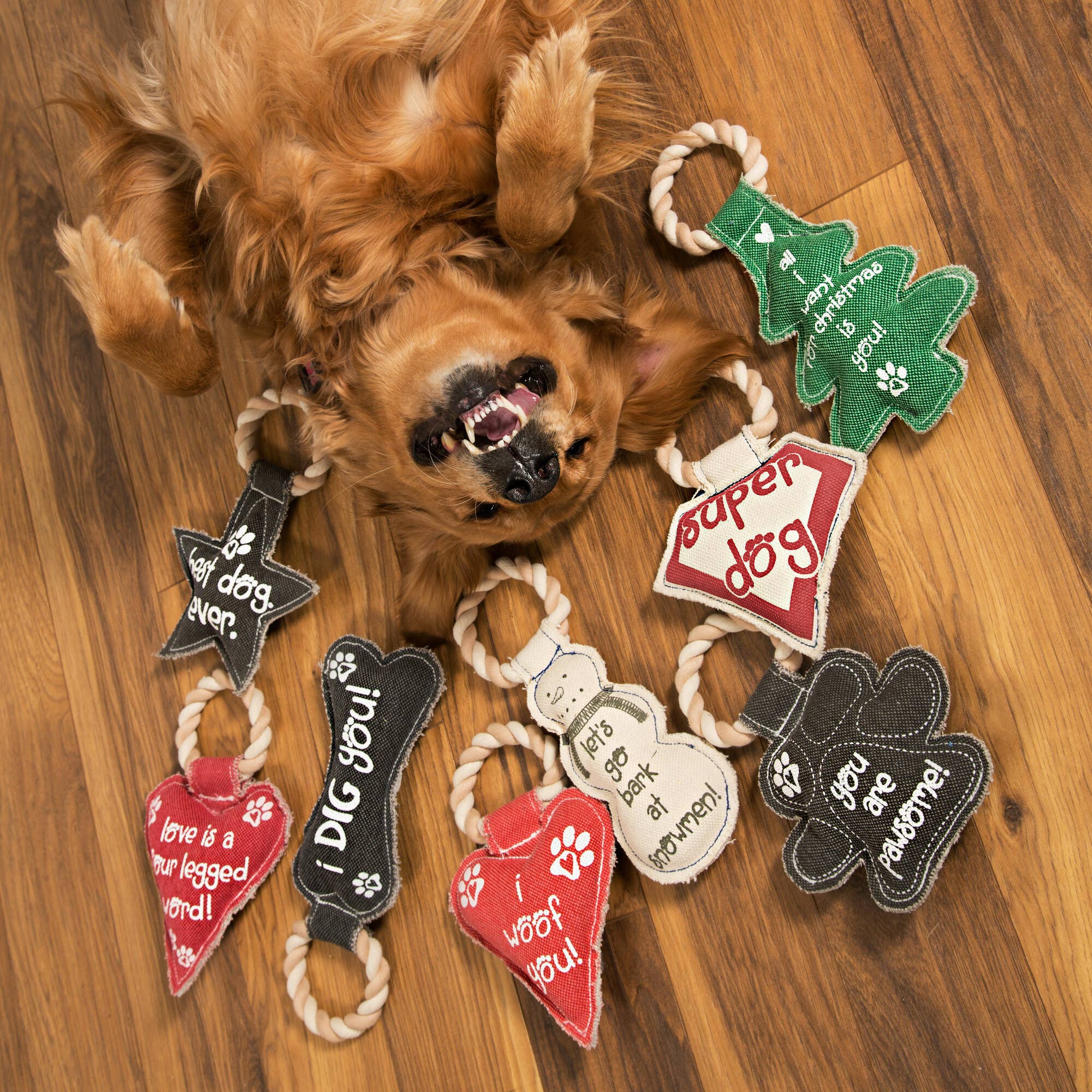 Pavilion - Wholesale Pet Rope Toy - Dog - Best Dog Ever - 9.5" Canvas Dog Toy on Rope1