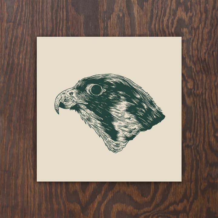 Peregrine Falcon for wholesale by Logan Schmitt Illustration
