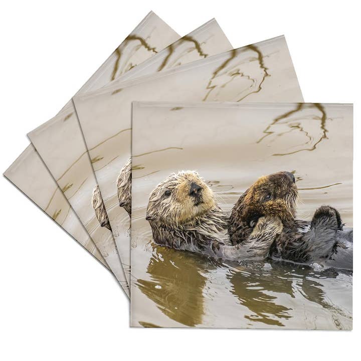 3dRose - Wholesale Coasters - 3dRose, California, Morro Bay. Sea otter mother and pup in water., Coaster