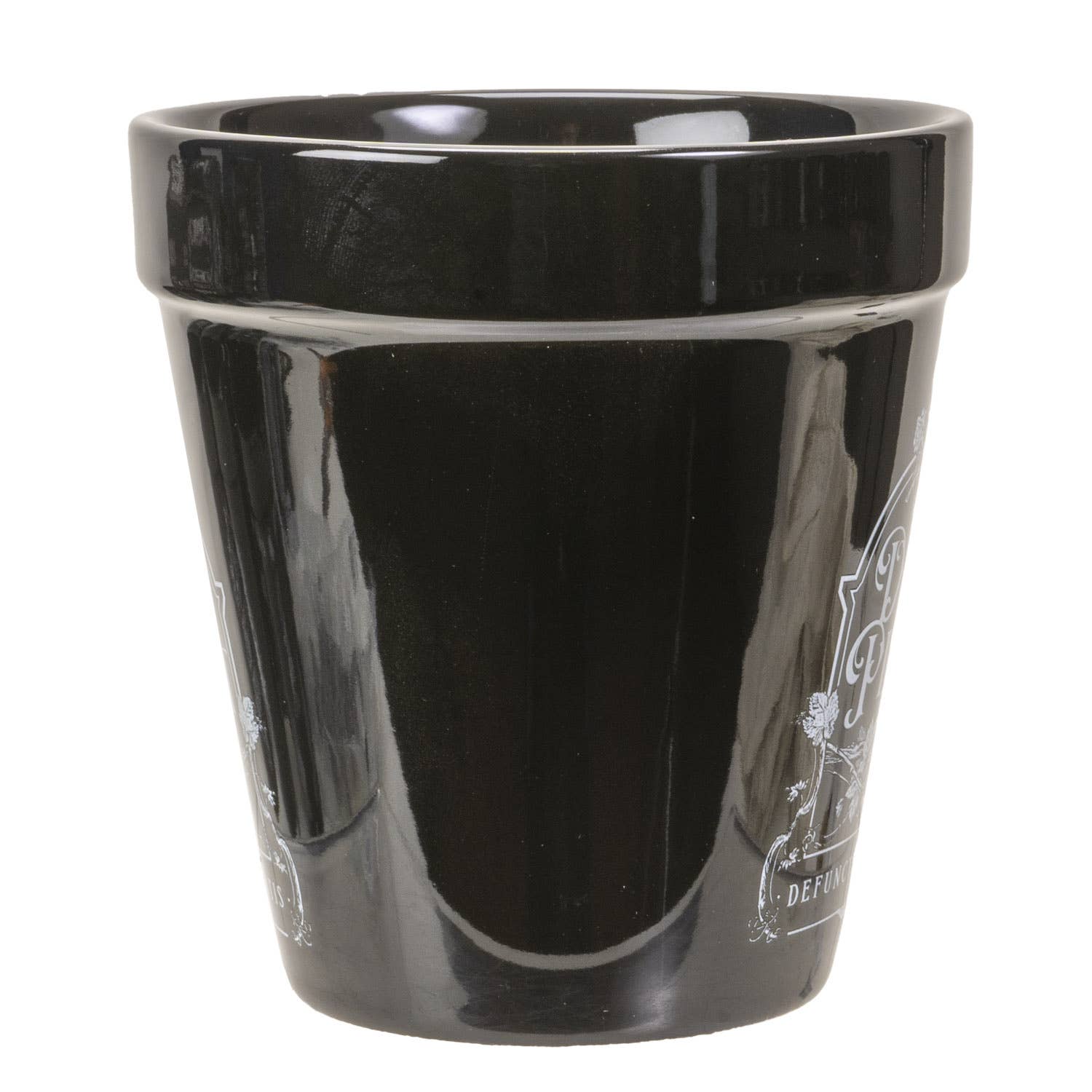 Pacific Trading - Wholesale Plant Pot - Alchemy Gothic Planter Pot Dead Plant 4