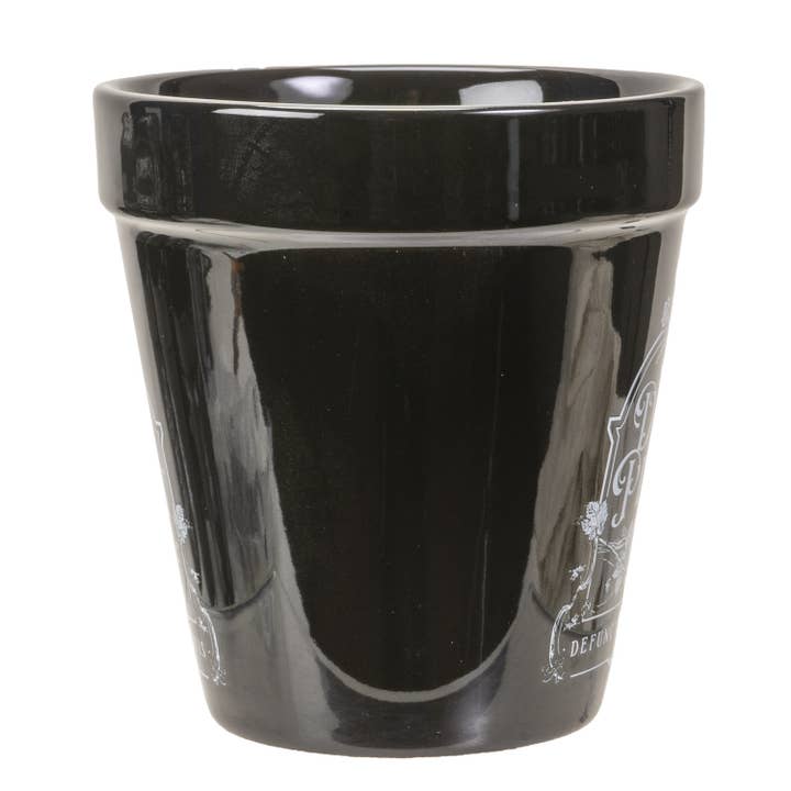 Pacific Trading - Wholesale Plant Pot - Alchemy Gothic Planter Pot Dead Plant 4