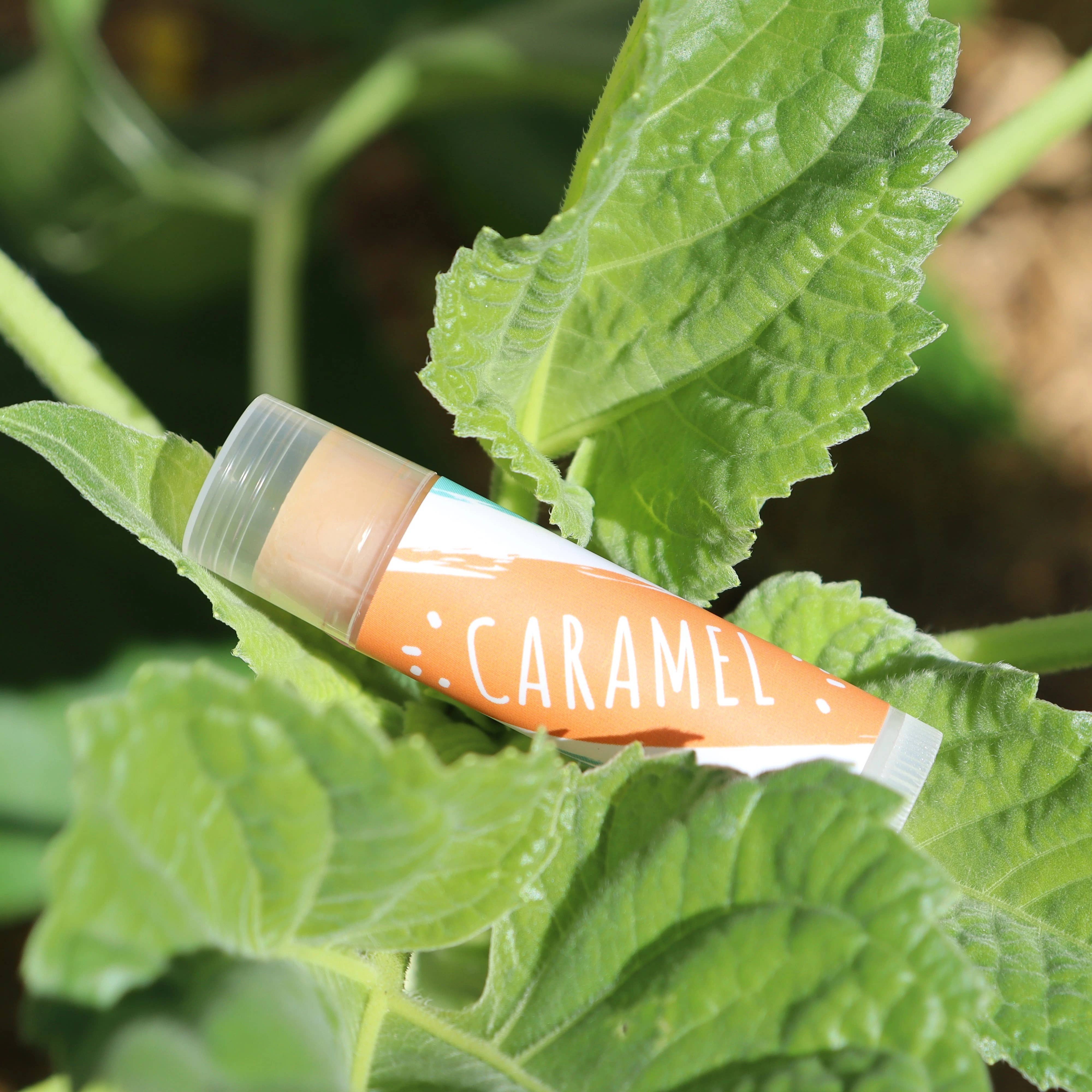 Little Fox Lip Balm - Wholesale Lip Balm - Lemon Balm Tinted15