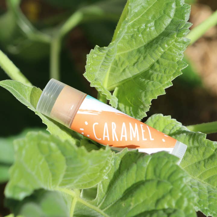 Little Fox Lip Balm - Wholesale Lip Balm - Lemon Balm Tinted15