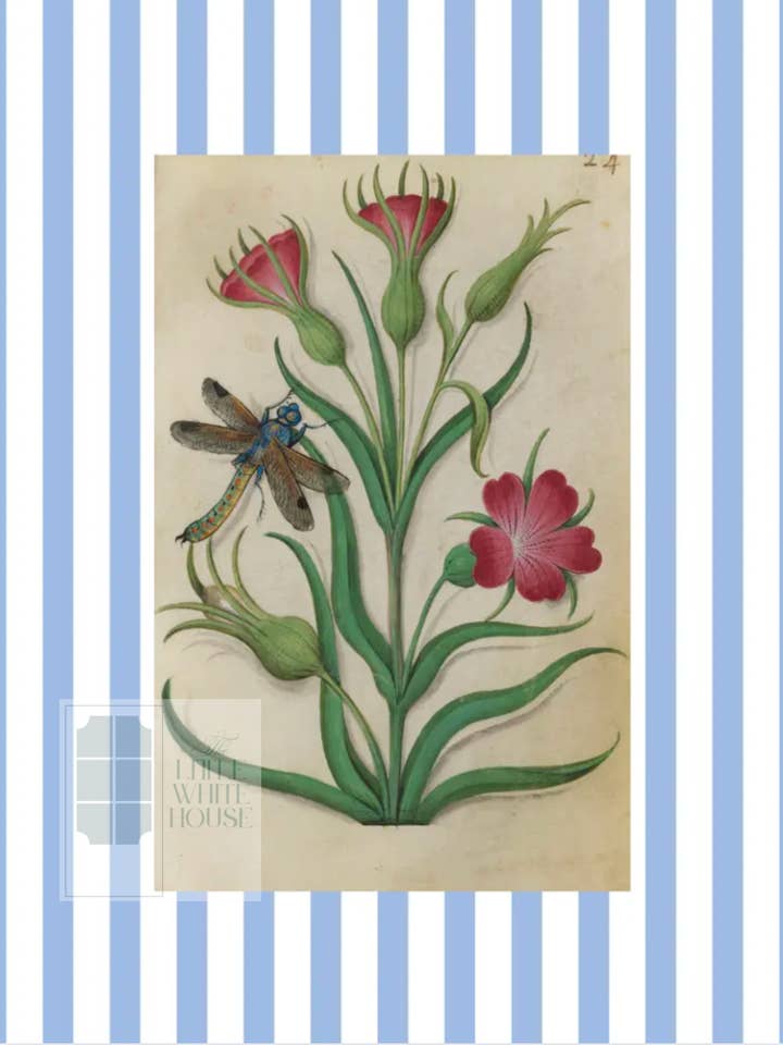 Blue & White Botanical Study, Giclee Print : STUDY 1 for wholesale by The Little White House