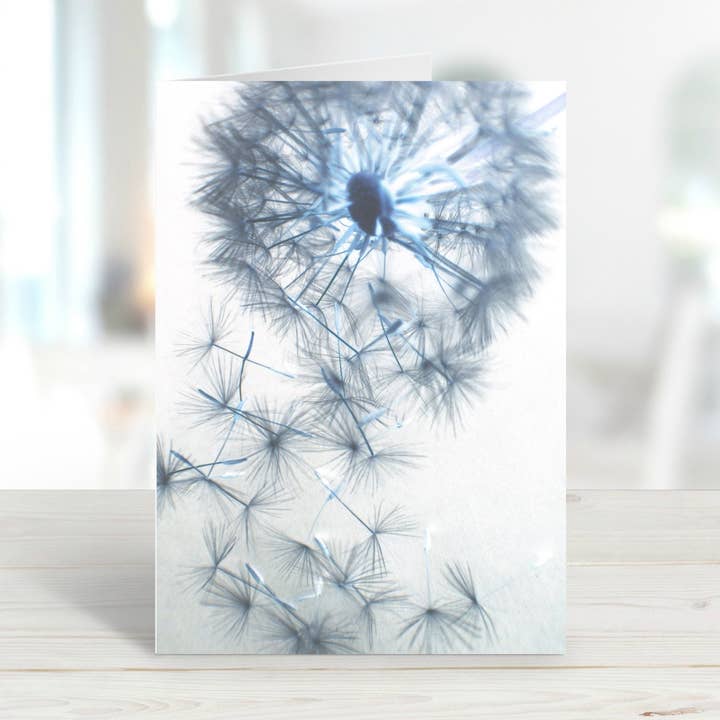 Cartão de saudação de foto de dente de leão, fotografia de flores por atacado de Echoes & Shadows Photography