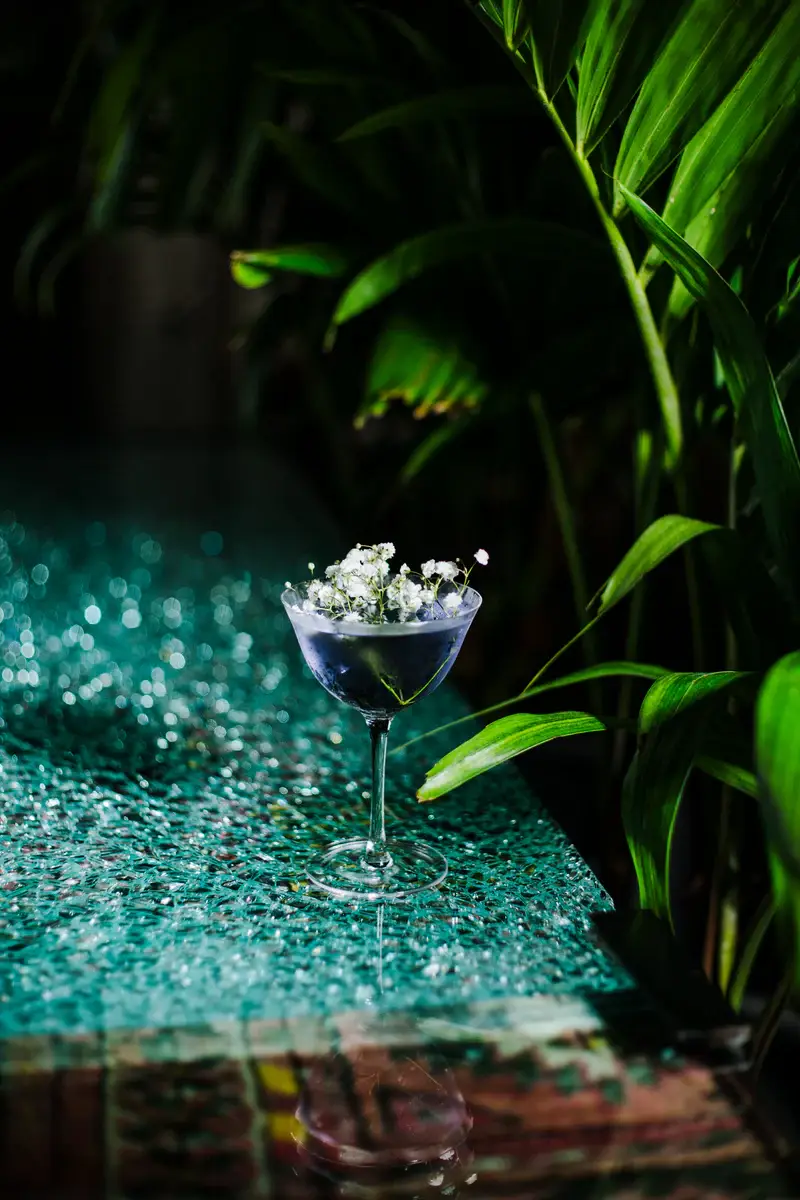 Hospitality Glass - Wholesale Cocktail/Liquor Glass - Blossom 7.25 oz. Coupe5