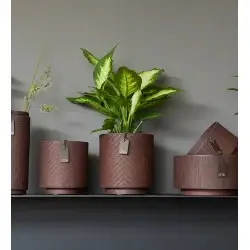 Lübech Living - Vente Pot pour plante d'intérieur - Pot Louisiana en papier zéro déchet, étanche, Fudge2
