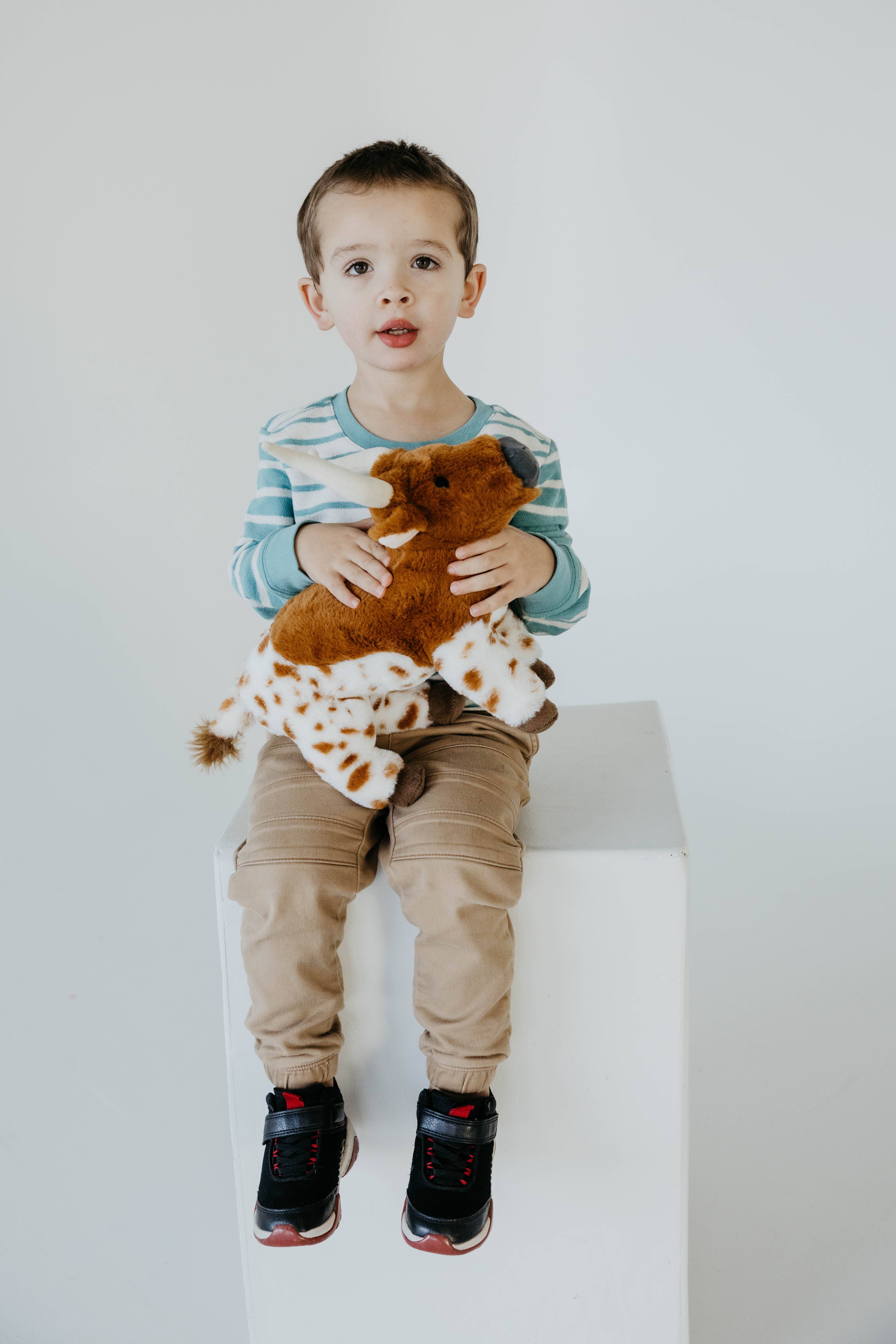 The Petting Zoo - Wholesale Stuffed/Plush Toy - Kids & Baby - 12" (30cm) Wild Onez Longhorn Cow1