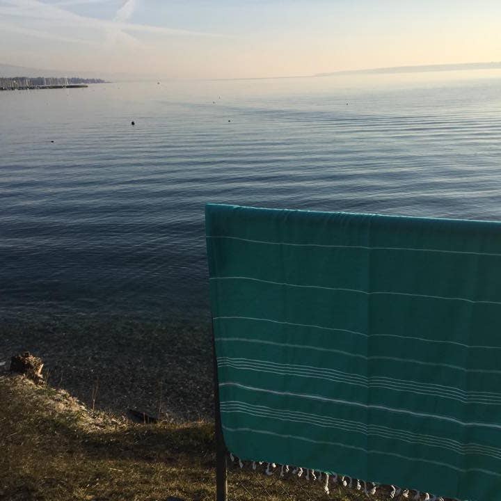 Geneva Mini for wholesale by foutala