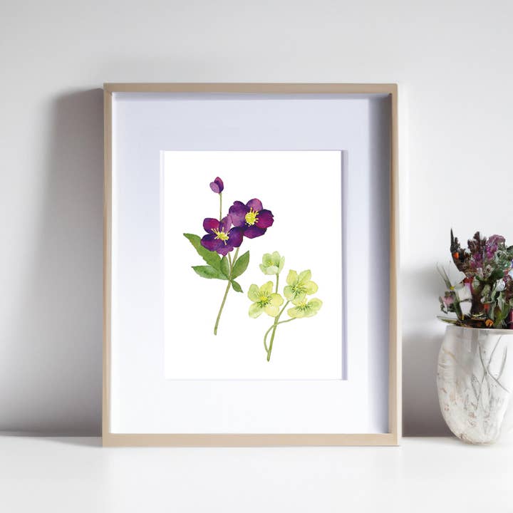 Kathryn Voss Design - Wholesale Art Print - Hellebore Art Print2