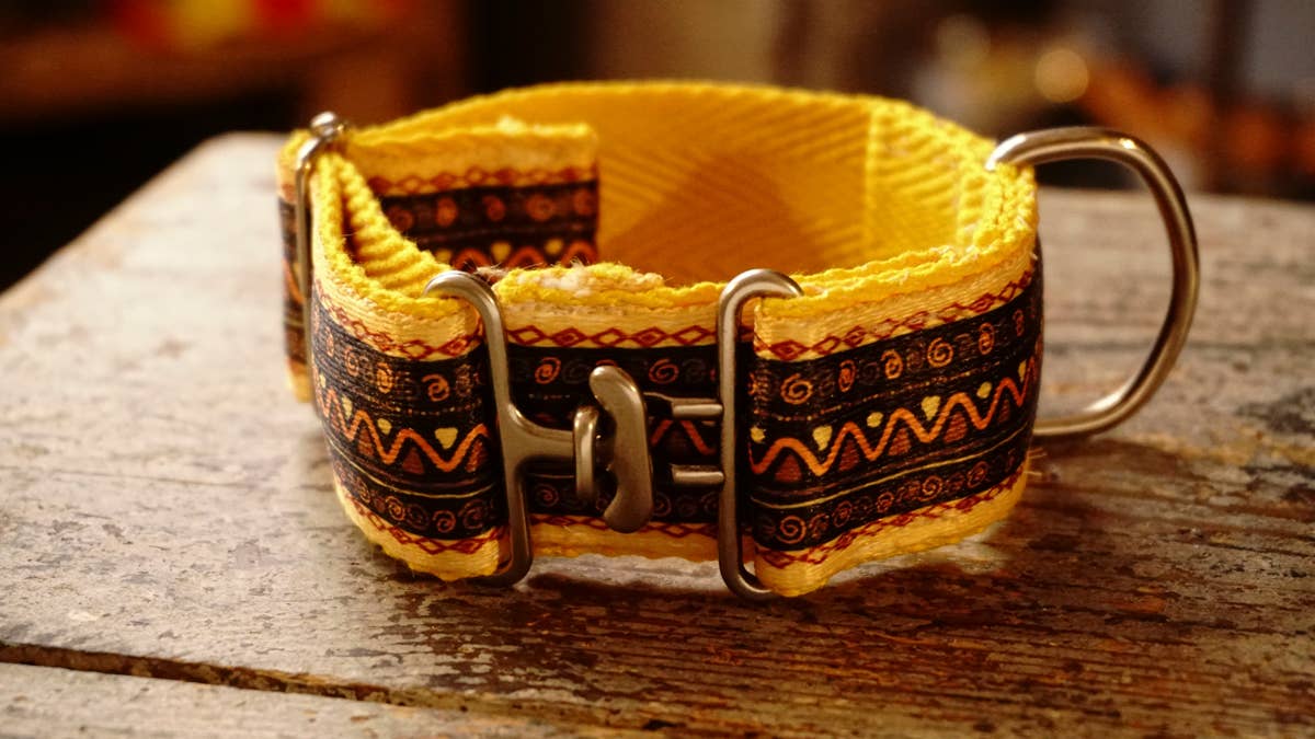 hundsfutter - Vente Collier – chien - Collier large jaune pour chiens6