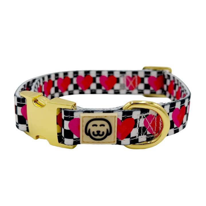 Lovebug - Hundhalsband för wholesale av Molly & Co.
