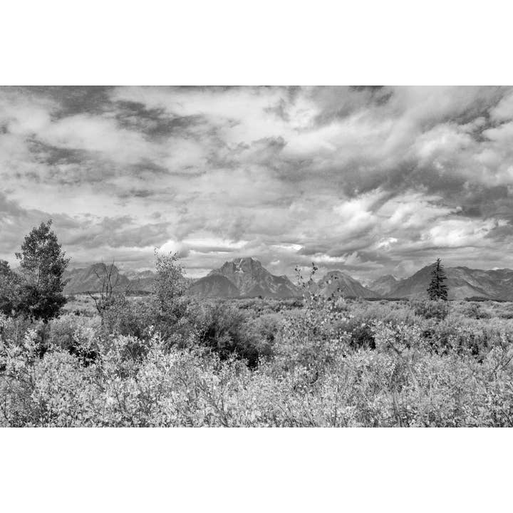 b+w Grand Teton landscape | fine art photography print for wholesale by Britt Vasina Art