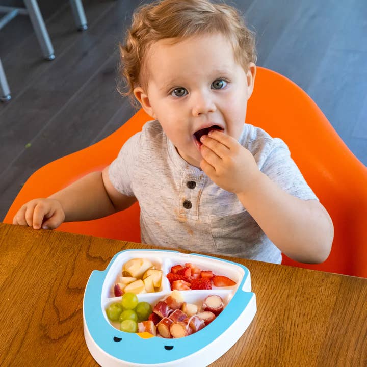 Prodigi Kids - Wholesale Dinner Plate - Kids & Baby - Adi plate7