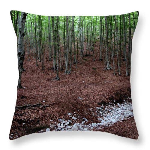 CUSCINO "THE PATH IN THE FOREST" per la vendita all'ingrosso da parte di sorayadapuzzostore