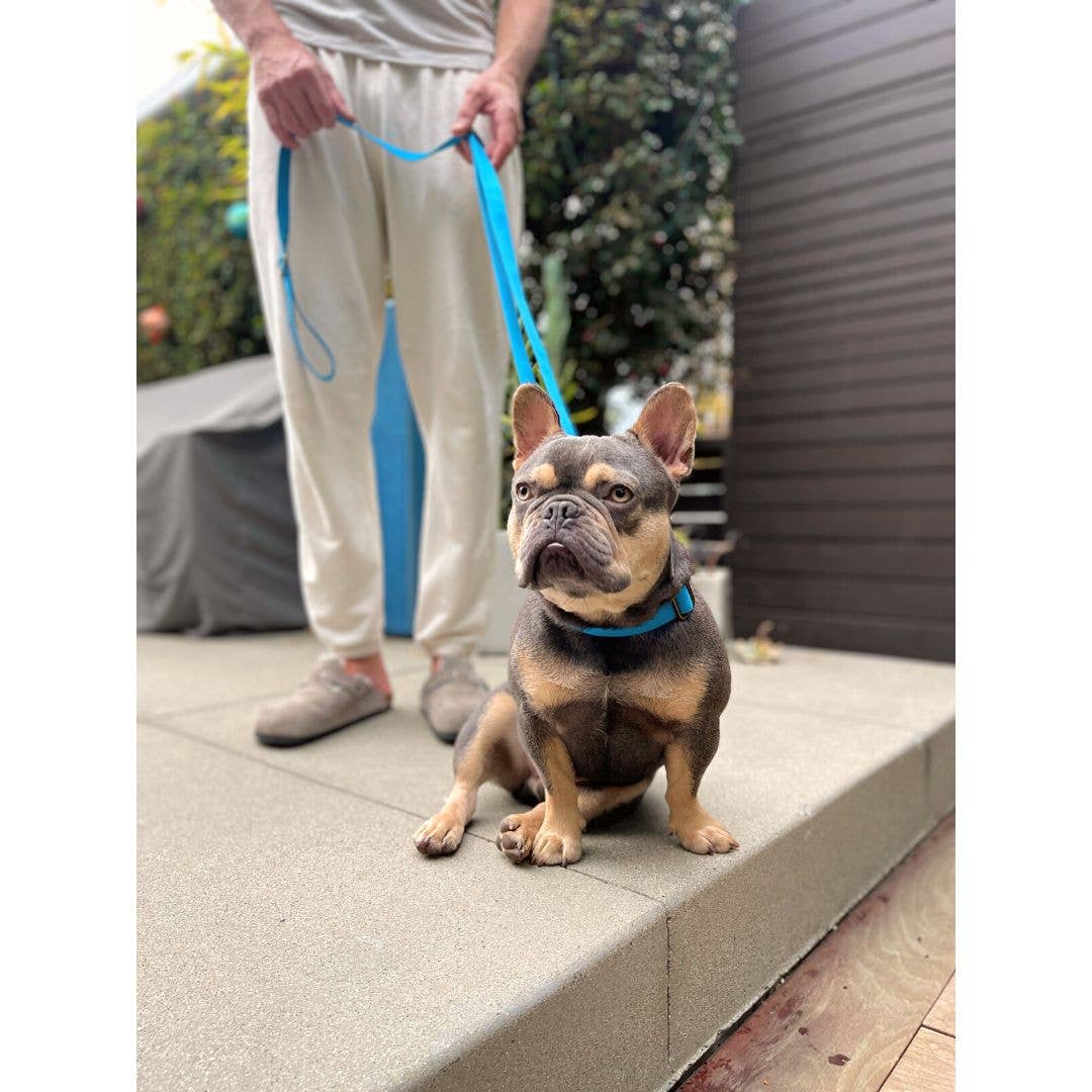 Tilley + Me - Wholesale Pet Leash - Dog - Hemp Cotton Dog Leash - Adjustable & Lightweight7