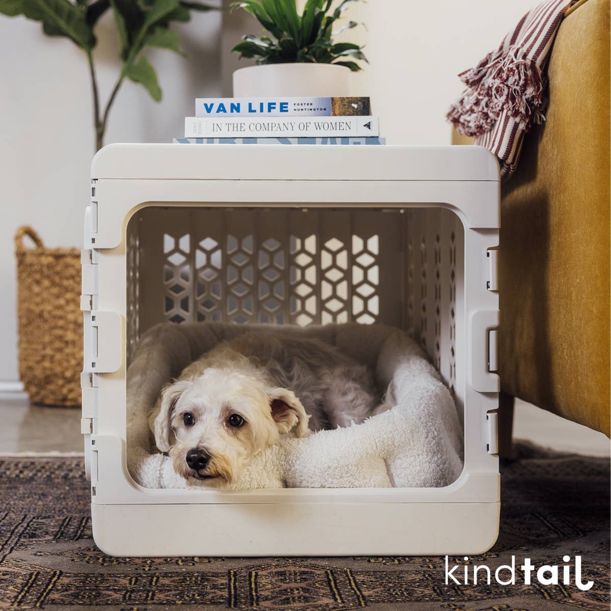 KindTail - Wholesale Pet Carrier - Dog - Medium Pawd® | Modern Collapsible Plastic Dog & Pet Crate11