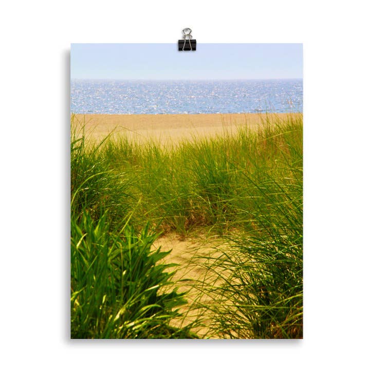 Sea Grass Posters for wholesale by Monmouth Paragon