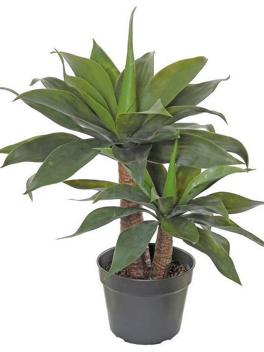 Agave Plant X2 In Pot, 28", Green for wholesale by Select Artificials, Inc.