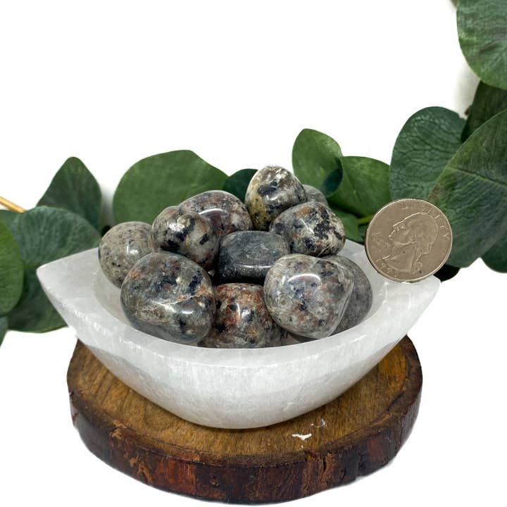 The Crystal Tabby - Wholesale Spiritual Stone/Crystal - Yooperlite(Emberlite) Tumbles- 1bag