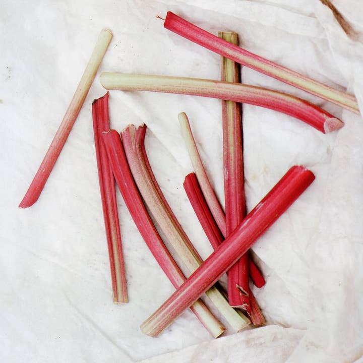 Sqirl - Wholesale Jam/Jelly - Strawberry Rhubarb2