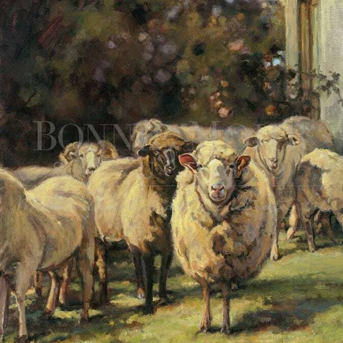 Bonnie Mohr Studio – wholesale Vardagliga hälsningskort – Kort - Hey Ewe1