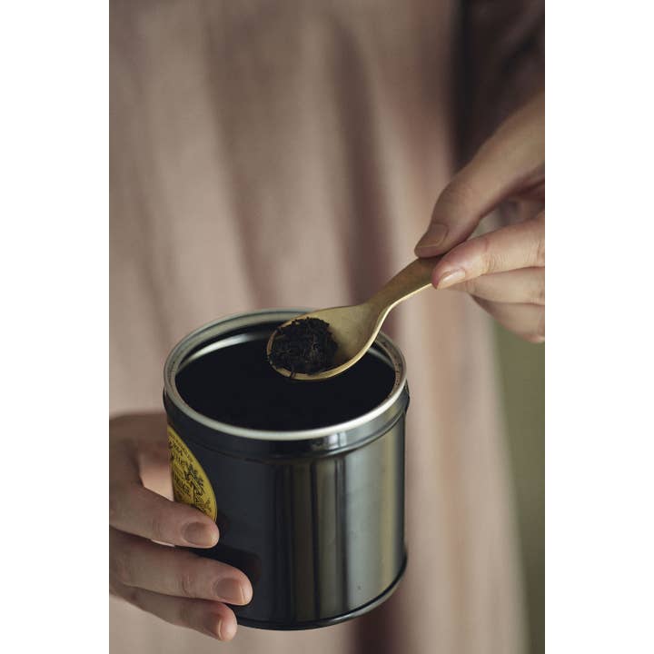 Fog Linen Work - Wholesale Measuring spoon - Brass Tea Caddy Spoon1