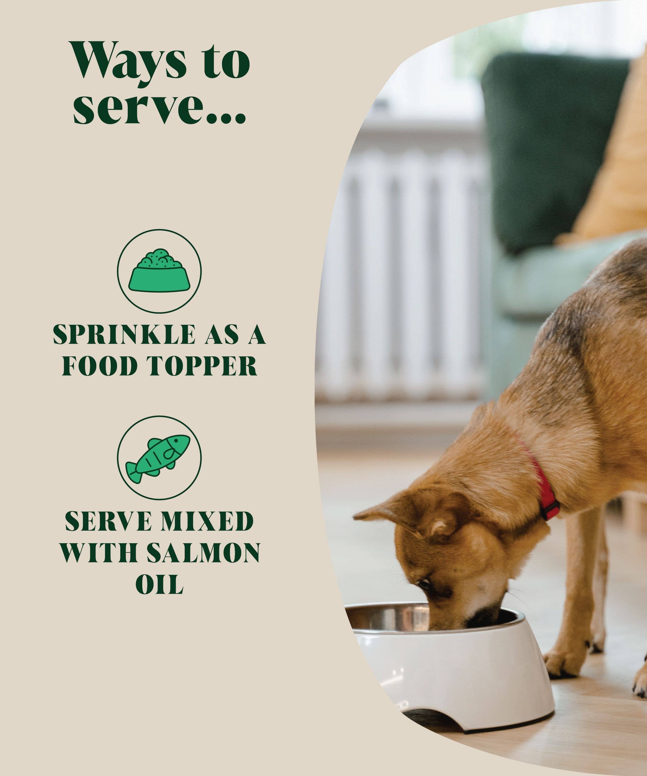 Hackney Dog House – wholesale Kosttillskott för husdjur - Hund – Naturligt pulver mot loppor och fästingar för hundar | Örtbortstötande2