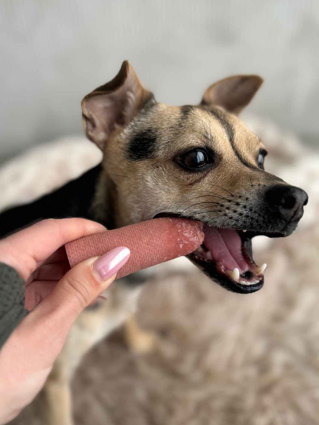 Truffe Délice - Wholesale Pet Treats - Dog - Yak cheese20