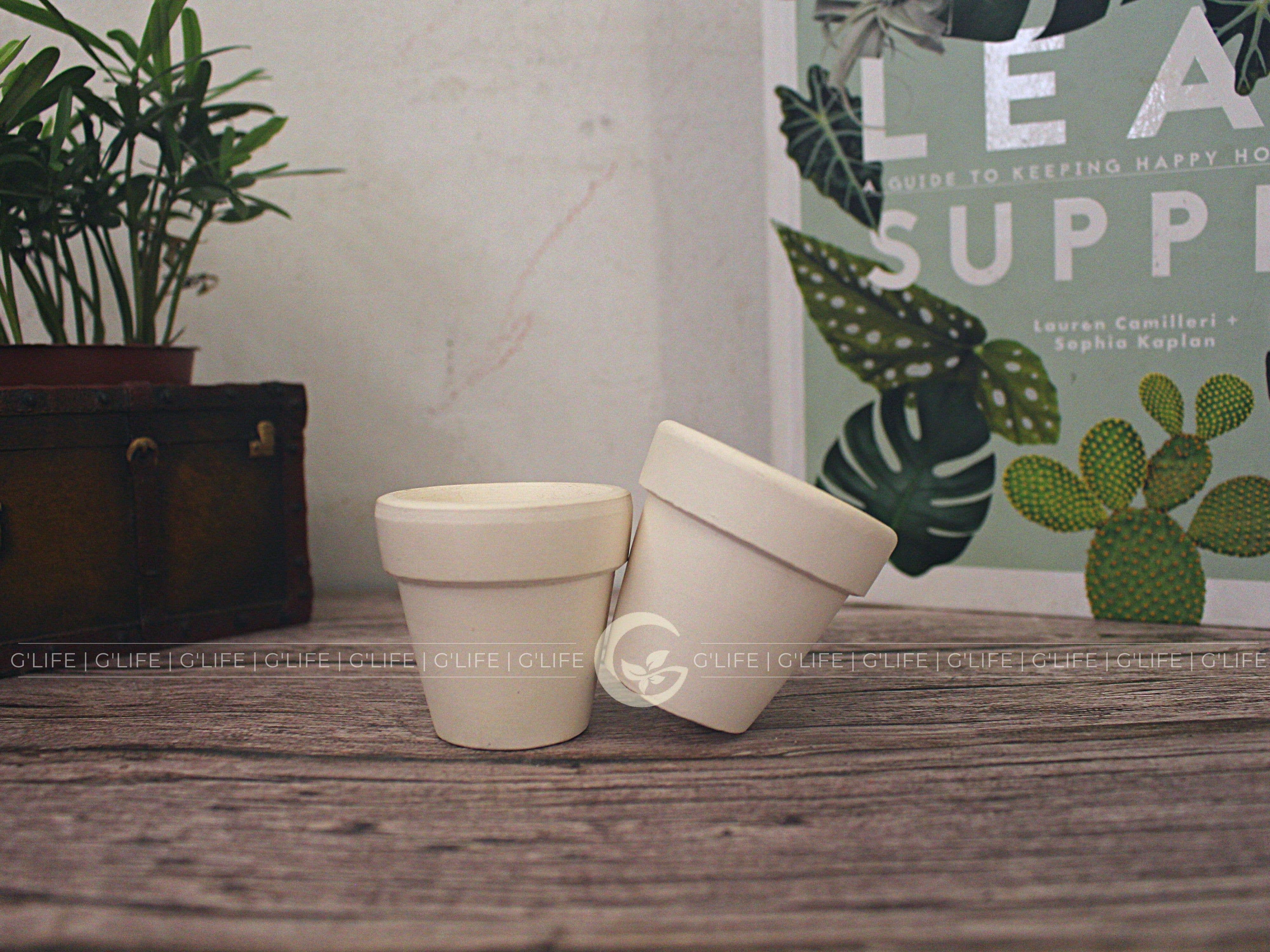 GLifee - Wholesale Plant Pot - 2" Tiny Terracotta Clay Plant Flower Pot - Drainage Hole15