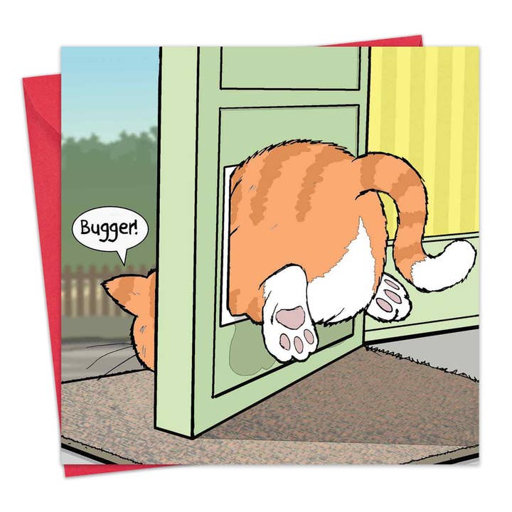Twizler Ltd - Wholesale Everyday Greeting Card - Fat Cat Card - Funny Card