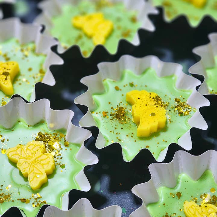 Nature's Elements - Wholesale Wax melt - Wax Melt Cup7