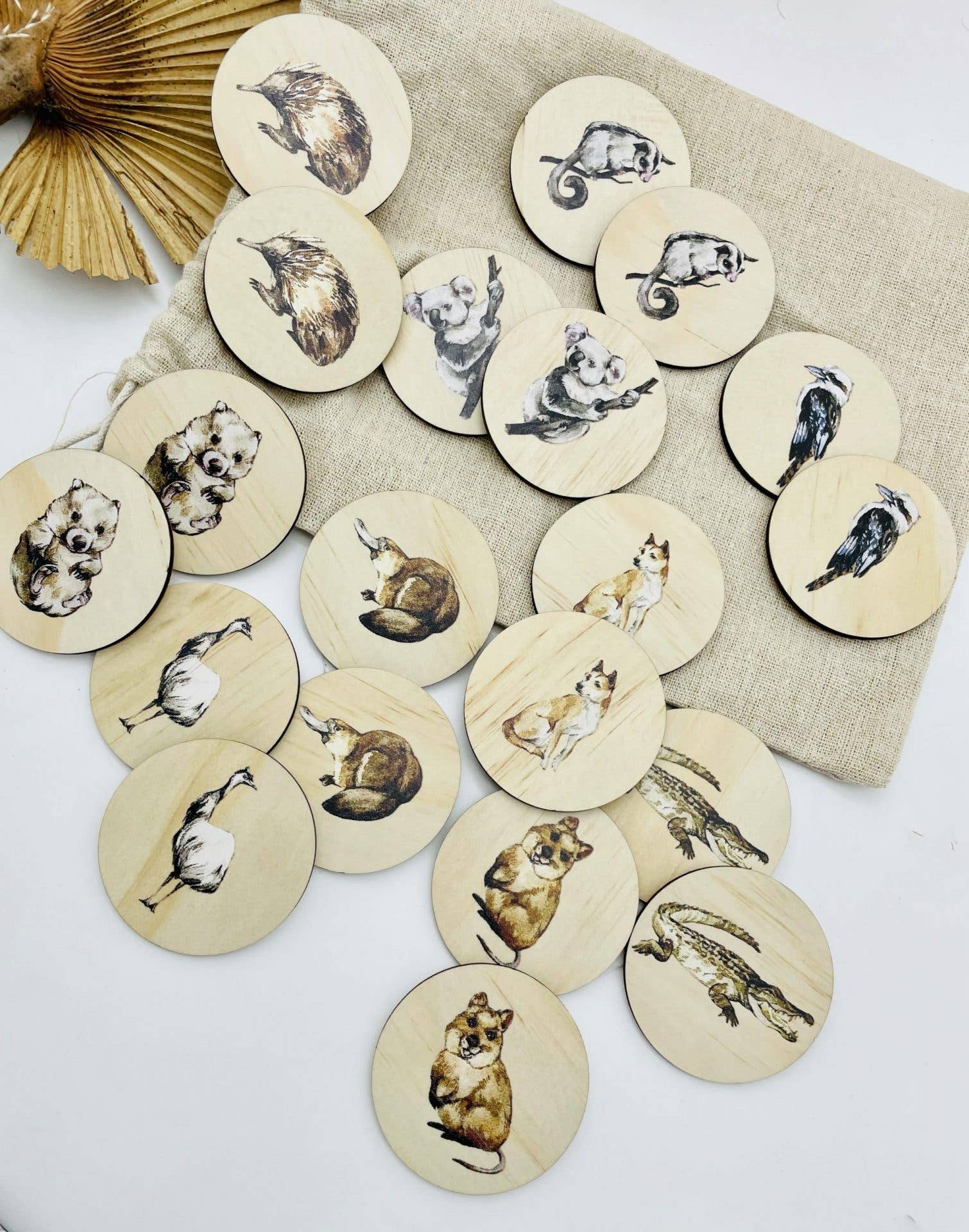 Timber Tinkers - Vendita all'ingrosso Gioco di logica - Bambini - Gioco di abbinamento degli animali australiani1