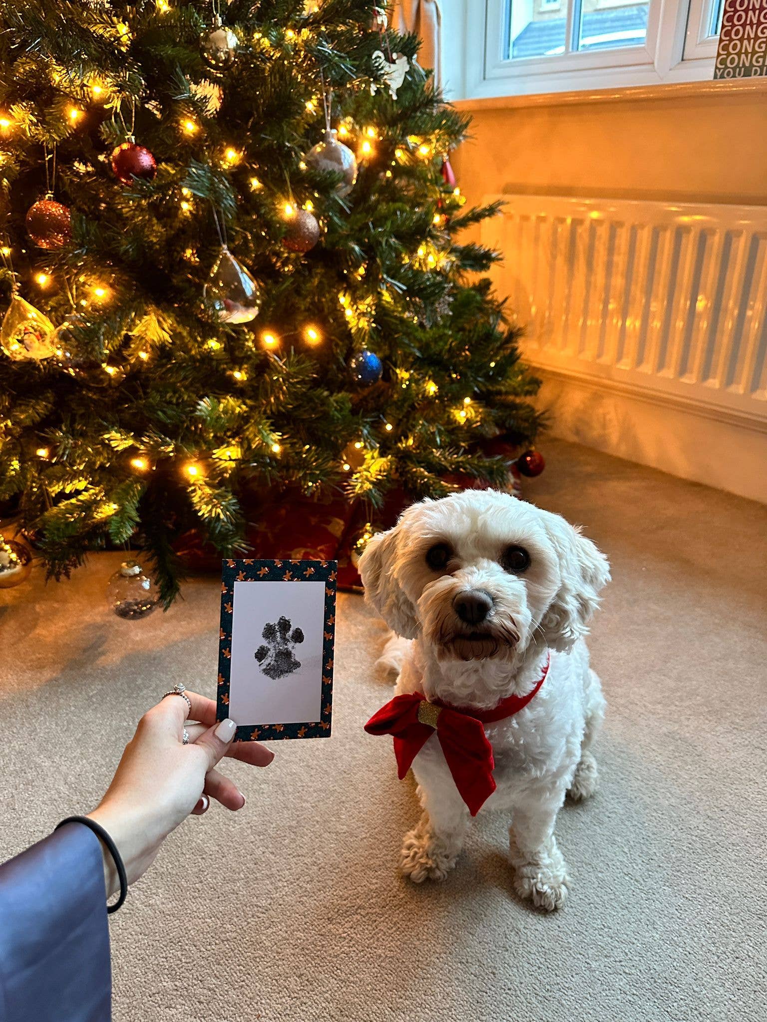 Paw Prints – wholesale DIY craft kit – Pet Paw Print Kits: Cats, Dogs, Puppy, Guinea Pig, Rabbit2