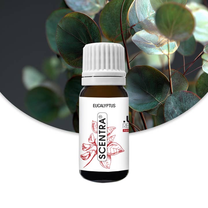 Eukalyptus - Doftolja för wholesale av Aspol Scentra GmbH