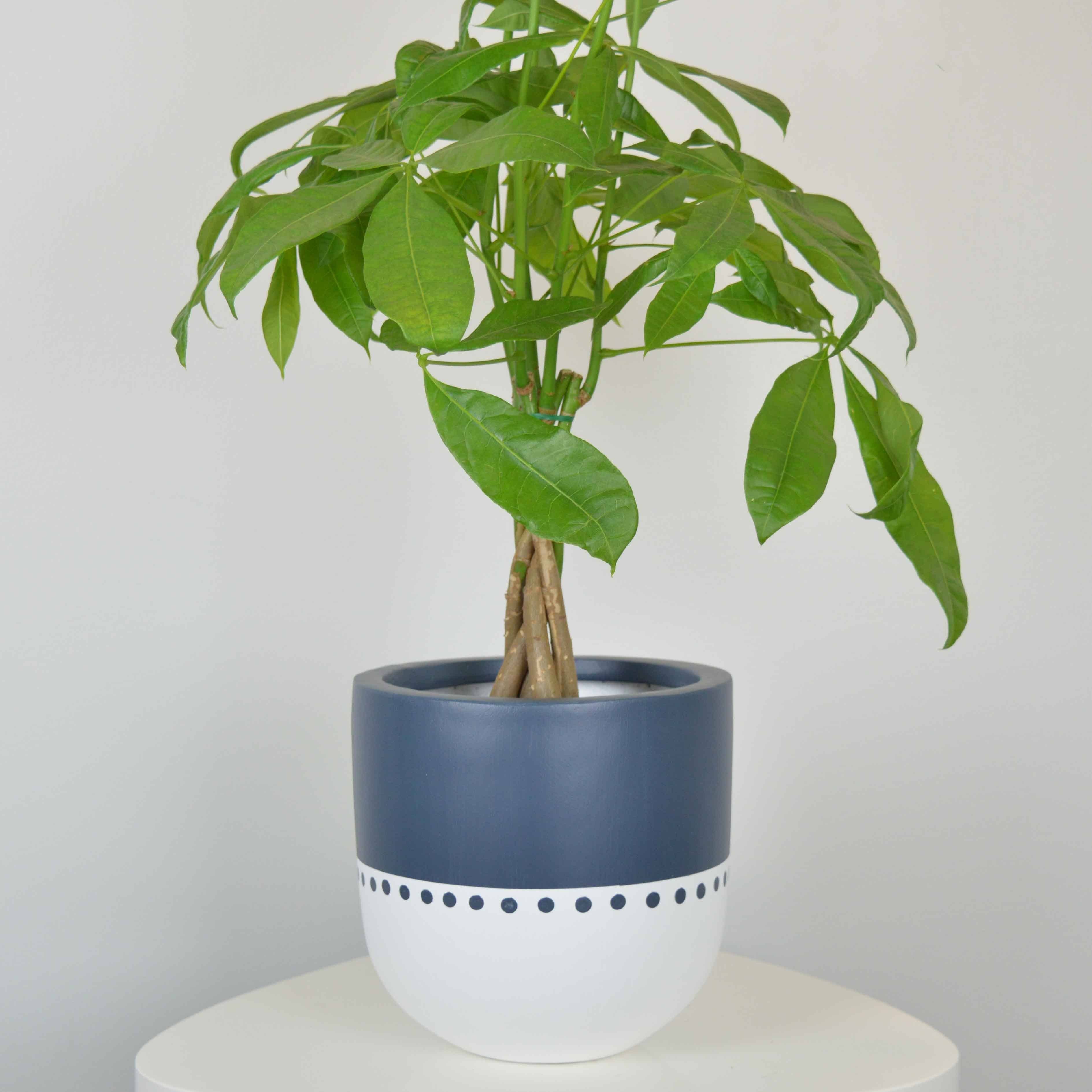 Common House Studio - Vente Pot - POT BOHO | JARDINIÈRE10