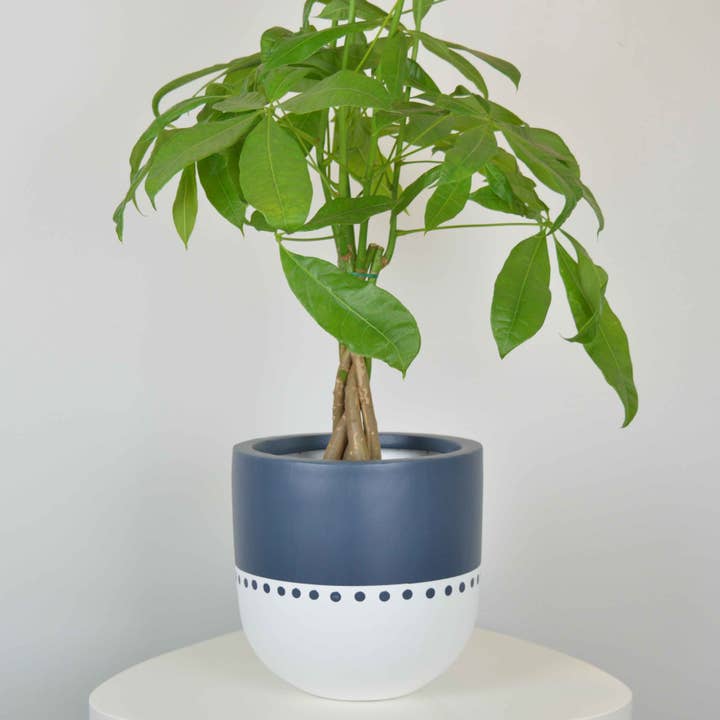 Common House Studio - Vente Pot - POT BOHO | JARDINIÈRE10
