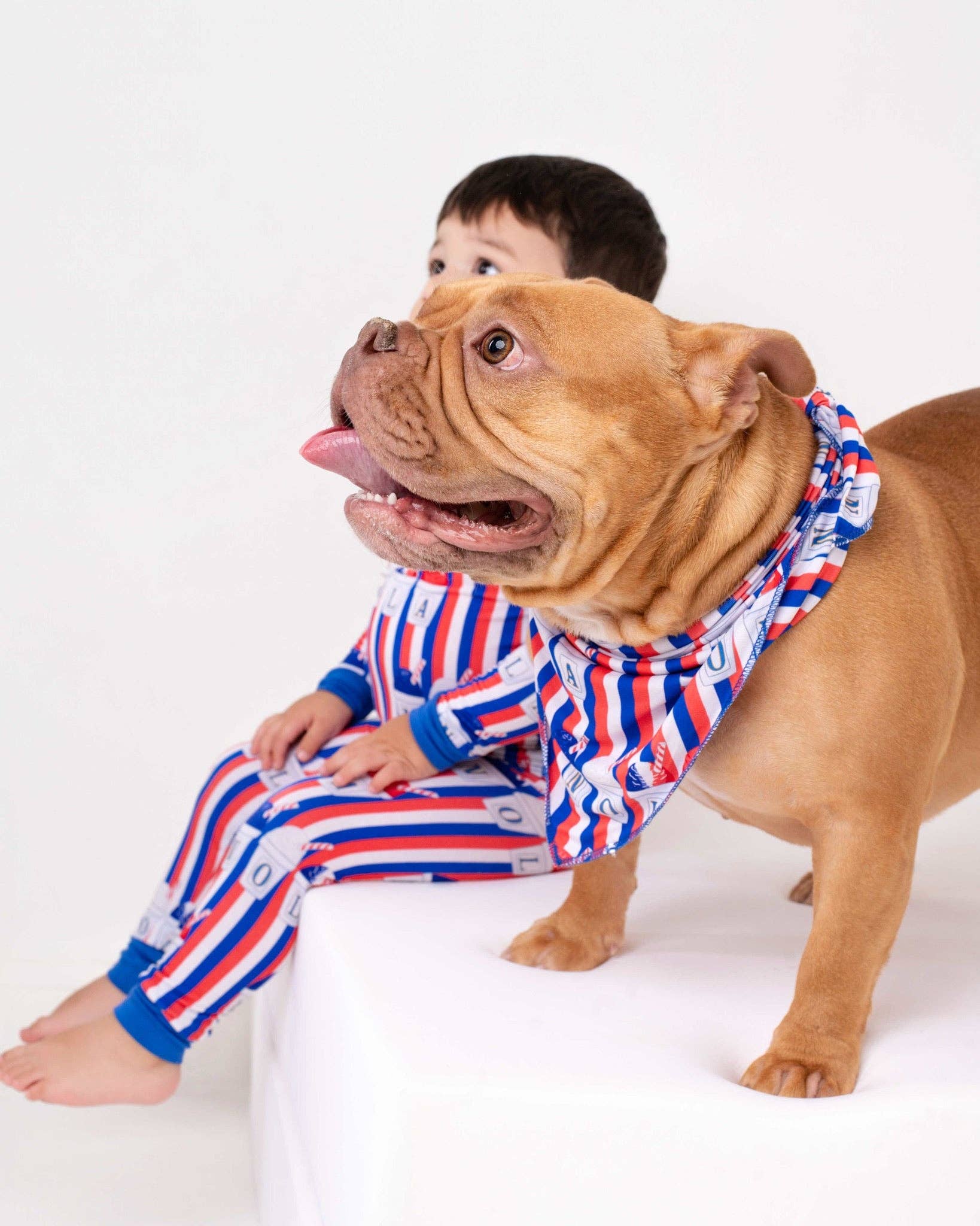 Pearls & Pelicans - Wholesale Pet Bandana - Dog - Red, White, and Sno-Balls Pet Bandana6