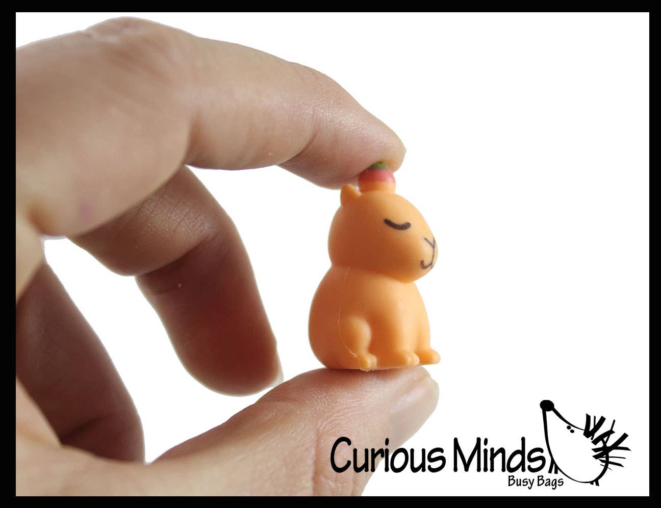 Curious Minds Toys - Wholesale Figurine Toy - Kids - 1 Colorful Tiny Capybara Figurines - Mini Toys - Small Novel2