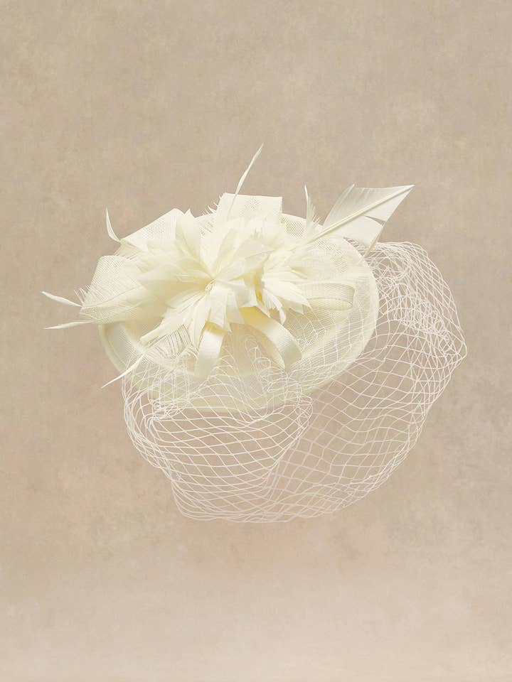 Fascinateur à Plumes à Demi-Voile Élégant pour la vente par BABEYOND
